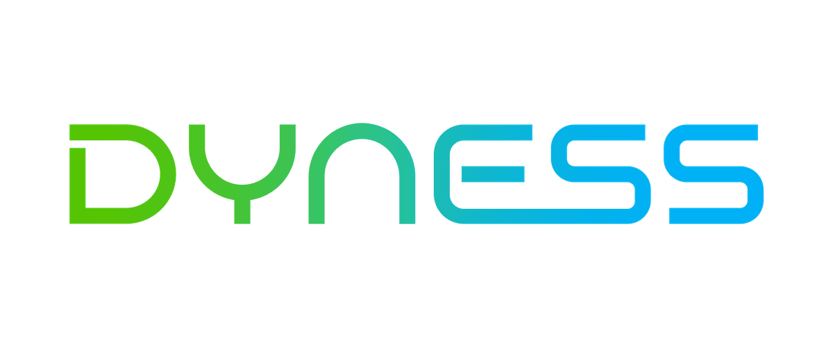 Dyness